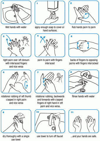 hand-wash-who-standard