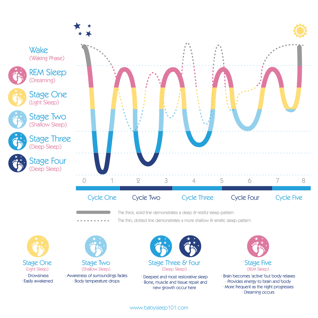 A clean user-interface layout showing sleep tracking metrics, sleep cycles, and sleep stages.
