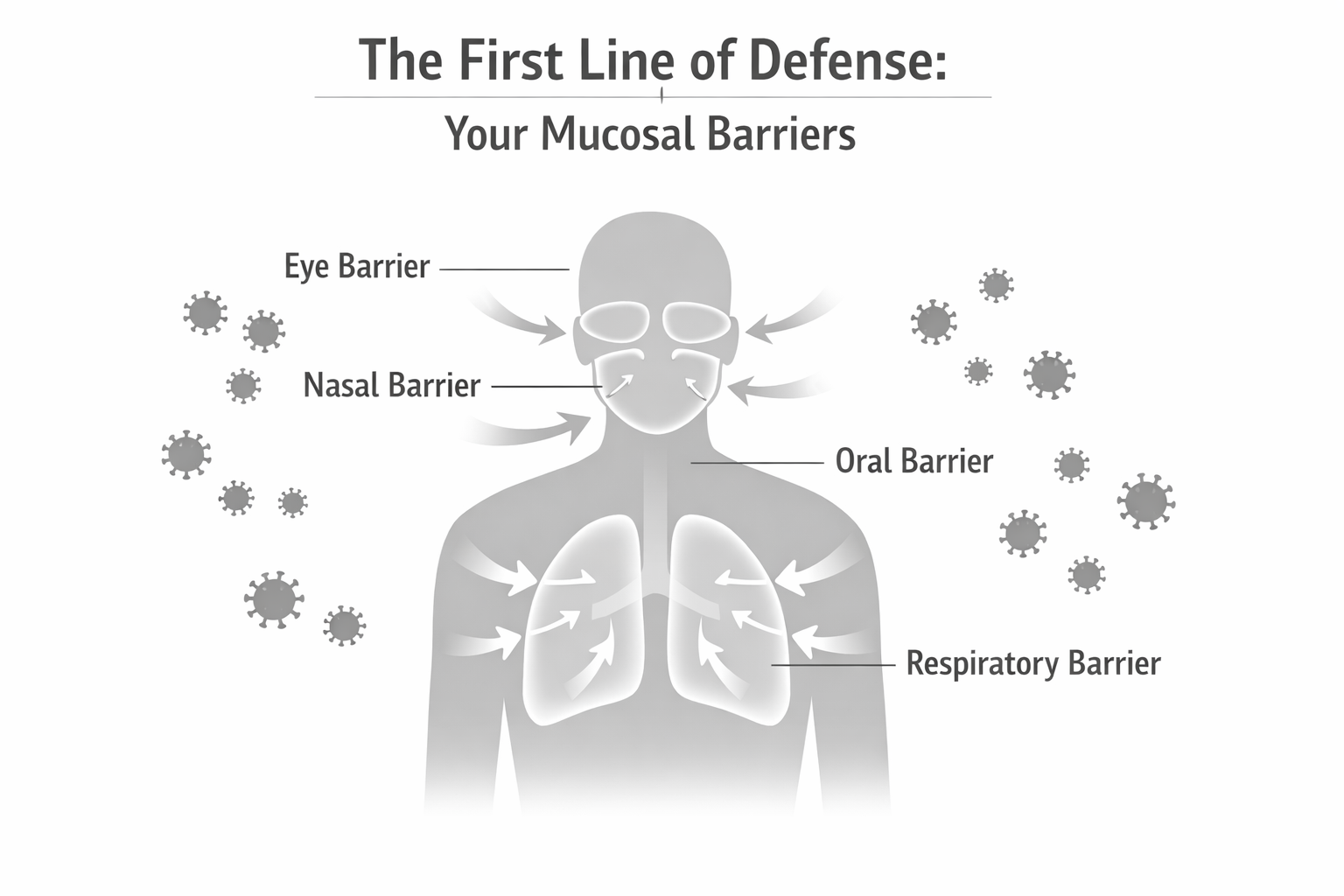 The First Line of Defense: Your Mucosal Barriers