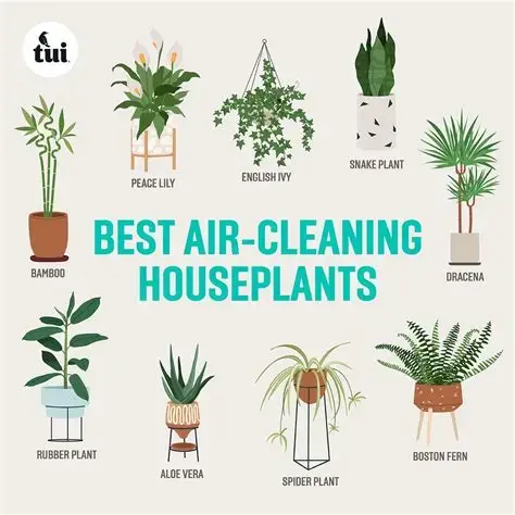 Simple Solutions for Cleaner Air