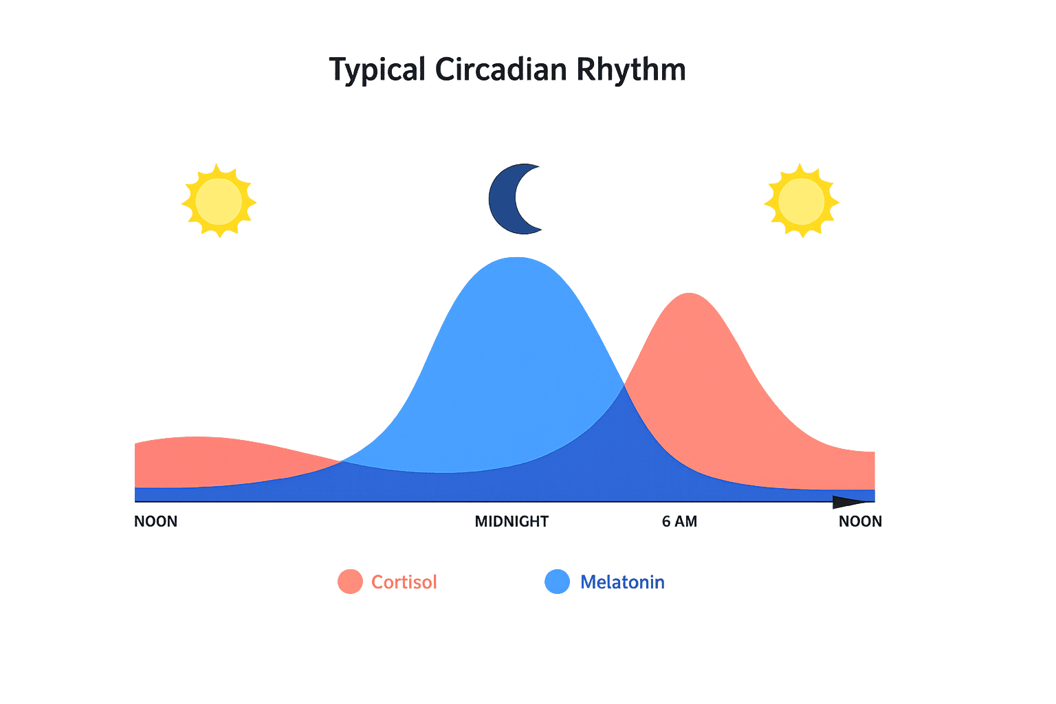 Typical circadian rhythm