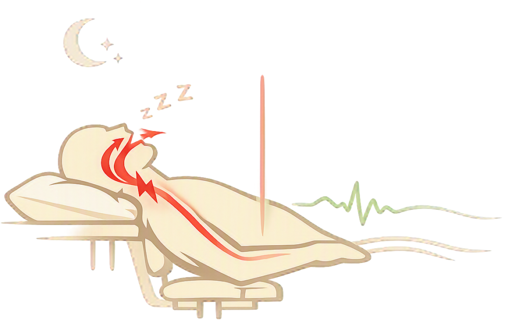 Why Your Nose Is Made for Breathing